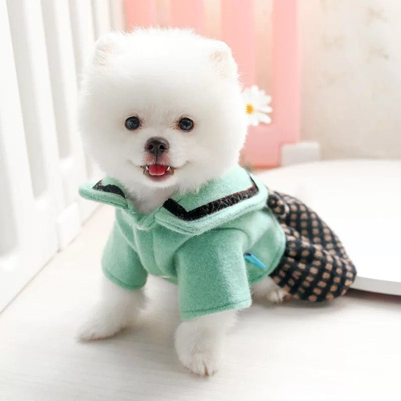 KUTKUT Newest Cute Princess Style Warm Dress for Small Dogs | Bear Ears Woolen Fabric Dog Skirt for Shish Tzu, Pug, Poodle etc ( Green) - kutkutstyle