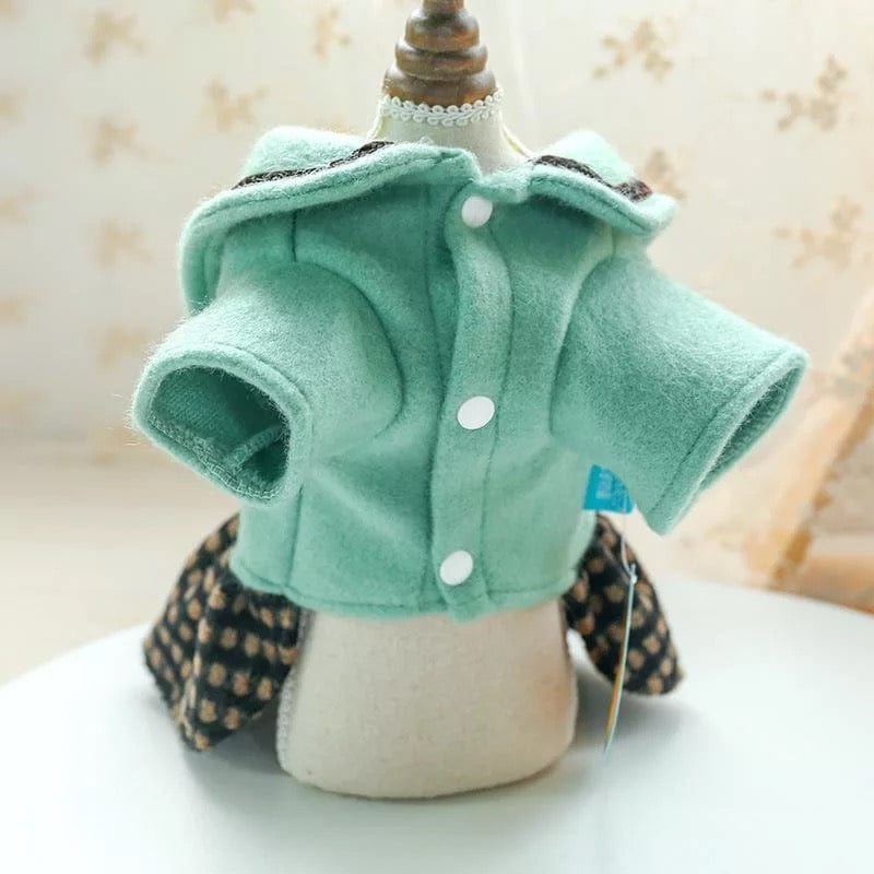 KUTKUT Newest Cute Princess Style Warm Dress for Small Dogs | Bear Ears Woolen Fabric Dog Skirt for Shish Tzu, Pug, Poodle etc ( Green) - kutkutstyle