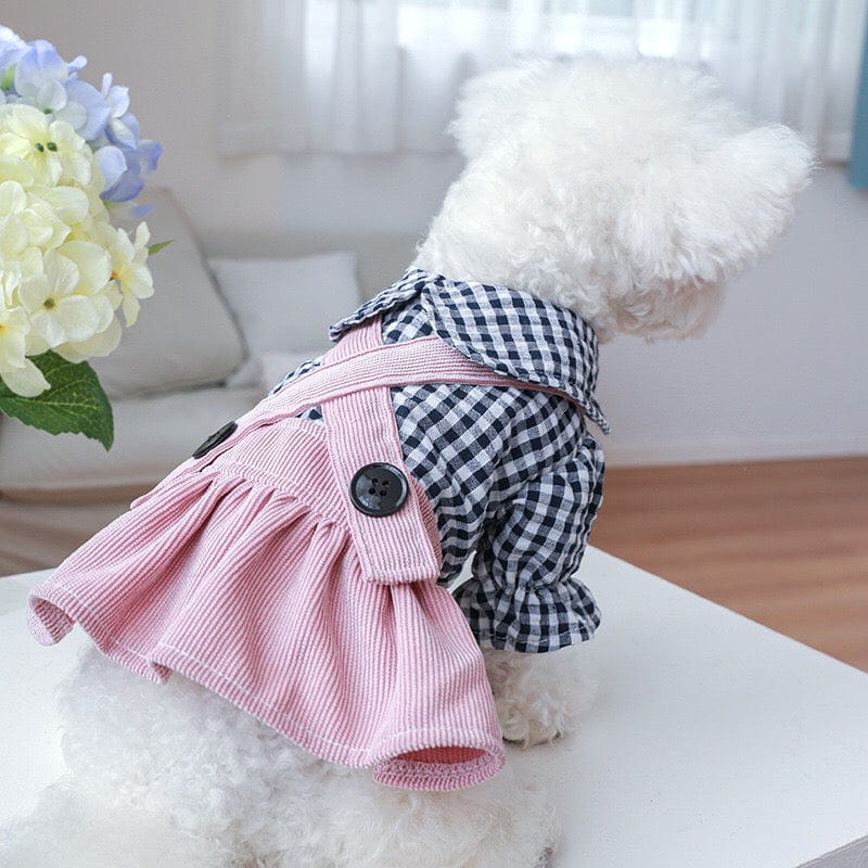KUTKUT Plaid Collar Button Décor Skirt Dress for Small Dogs | Comfortable Pet Dog and Cat Skirt Clothes for Small Dogs Paillons, Yoriki, Maltese ( Pink)…-Clothing-kutkutstyle