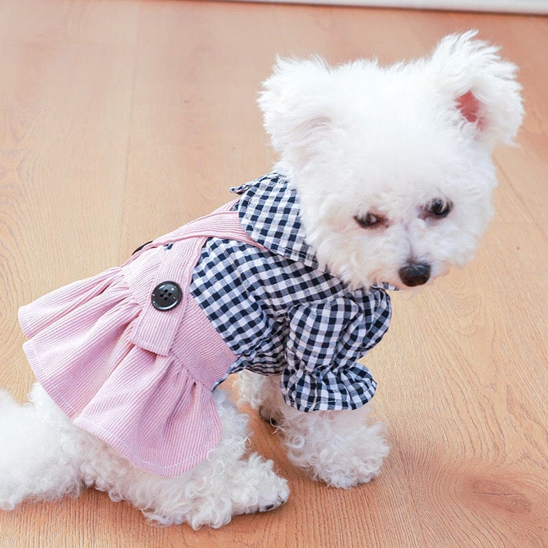 KUTKUT Plaid Collar Button Décor Skirt Dress for Small Dogs | Comfortable Pet Dog and Cat Skirt Clothes for Small Dogs Paillons, Yoriki, Maltese ( Pink)…-Clothing-kutkutstyle