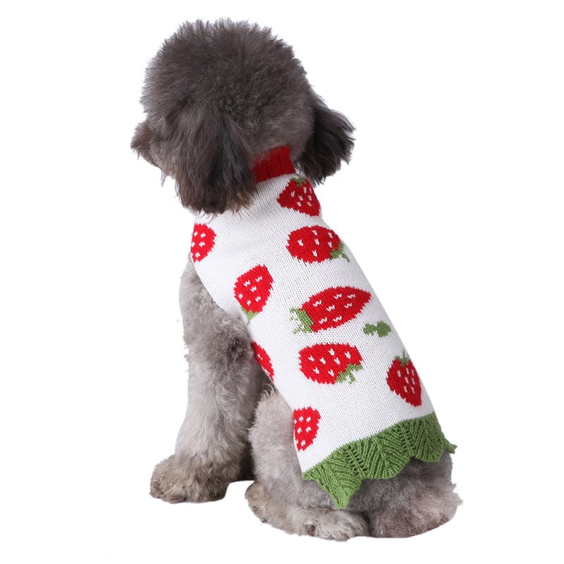 KUTKUT Puppy Dog Cat Knitted Sweater | Breathable Crochet Knit Pullover |Jumper for Small Dogs, Shih Tzu, Pug, Yorkie etc. and Cats (Multicolor)-Clothing-kutkutstyle