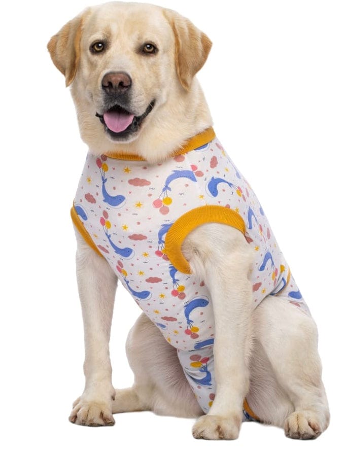 KUTKUT Recovery Suit For Dogs Cats After Surgery, Professional Pet Recovery  Shirt Dog Abdominal Wounds Bandages, Substitute E-Collar Cone, Prevent