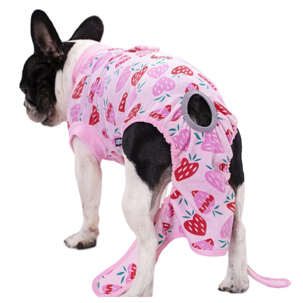 KUTKUT Recovery Suit for Dogs Cats After Surgery, Professional Pet Recovery Shirt Dog Abdominal Wounds Bandages, Substitute E-Collar & Cone, Prevent Licking Small Dog Onesies (Pink)-Clothing-kutkutstyle