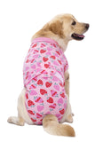 KUTKUT Recovery Suit for Dogs Cats After Surgery, Professional Pet Recovery Shirt Dog Abdominal Wounds Bandages, Substitute E-Collar & Cone, Prevent Licking Small Dog Onesies (Pink)-Clothing-kutkutstyle