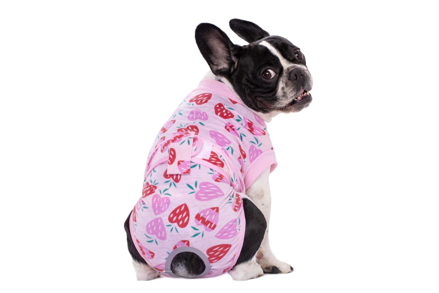 KUTKUT Recovery Suit for Dogs Cats After Surgery, Professional Pet Recovery Shirt Dog Abdominal Wounds Bandages, Substitute E-Collar & Cone, Prevent Licking Small Dog Onesies (Pink)-Clothing-kutkutstyle