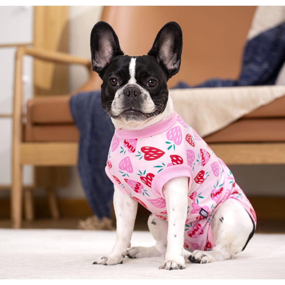 KUTKUT Recovery Suit for Dogs Cats After Surgery, Professional Pet Recovery Shirt Dog Abdominal Wounds Bandages, Substitute E-Collar & Cone, Prevent Licking Small Dog Onesies (Pink)-Clothing-kutkutstyle