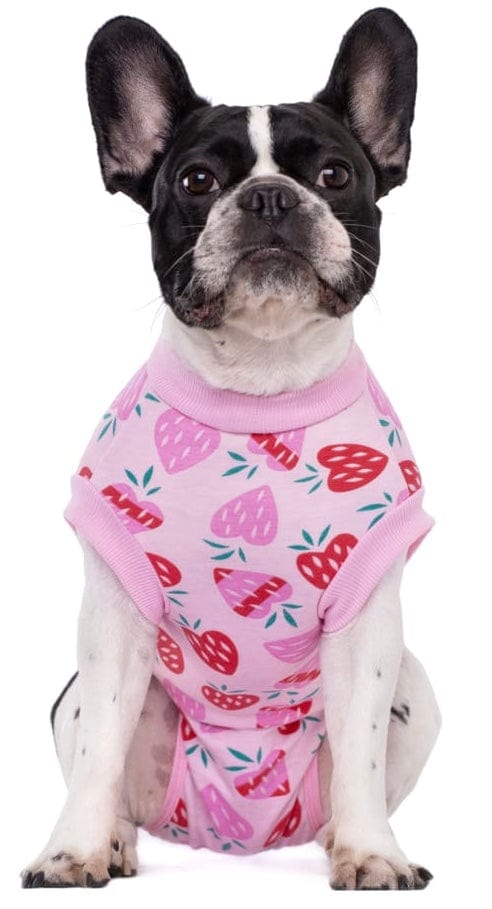 KUTKUT Recovery Suit for Dogs Cats After Surgery, Professional Pet Recovery Shirt Dog Abdominal Wounds Bandages, Substitute E-Collar & Cone, Prevent Licking Small Dog Onesies (Pink)-Clothing-kutkutstyle