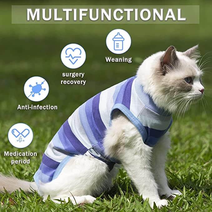 KUTKUT Recovery Suit for Puppy Dog Surgical Recovery Suit for Abdominal Wounds or Skin Diseases Male Female Anti Licking Dog Onesies Pet Surgery Suit,Substitute E-Collar & Cone (Size: S)-Clothing-kutkutstyle