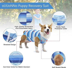 KUTKUT Recovery Suit for Puppy Dog Surgical Recovery Suit for Abdominal Wounds or Skin Diseases Male Female Anti Licking Dog Onesies Pet Surgery Suit,Substitute E-Collar & Cone (Size: S)-Clothing-kutkutstyle