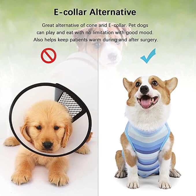 KUTKUT Recovery Suit for Puppy Dog Surgical Recovery Suit for Abdominal Wounds or Skin Diseases Male Female Anti Licking Dog Onesies Pet Surgery Suit,Substitute E-Collar & Cone (Size: S)-Clothing-kutkutstyle