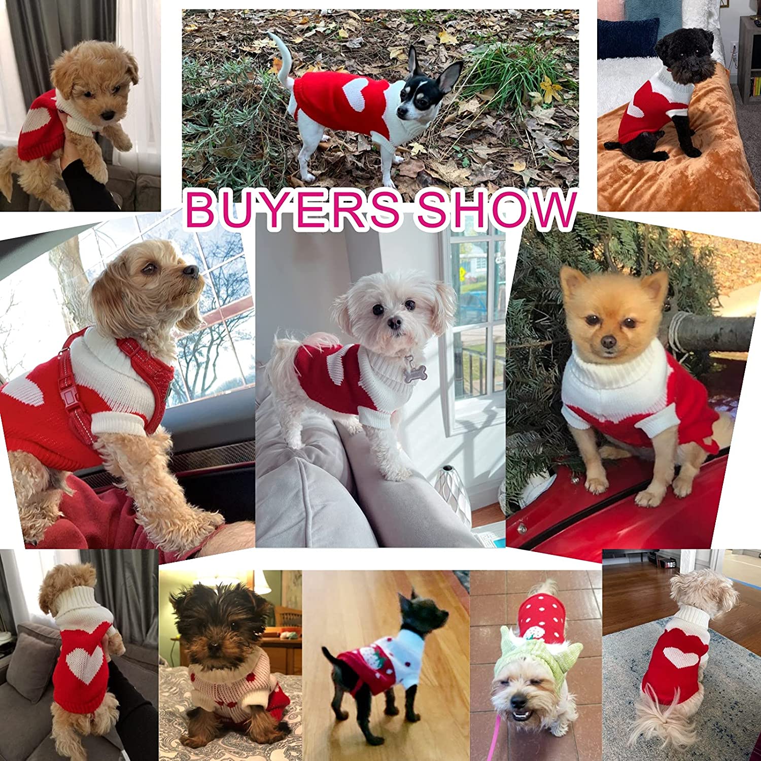 KUTKUT Small Dog Boy Girl Knitted Warm Winter Puppy Kitten Cat Sweater, Cute Heart Pattern Doggie Sweater for ShihTzu, Maltese, Pug, Yorkii - kutkutstyle