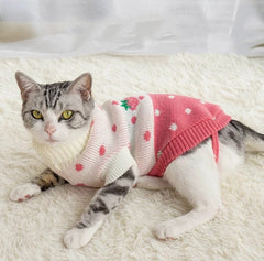 KUTKUT Small Dog Boy Girl Knitted Warm Winter Puppy Kitten Cat Sweater, Cute Straberry Doggie Sweater for Shihtzu, Maltese, Pug - kutkutstyle