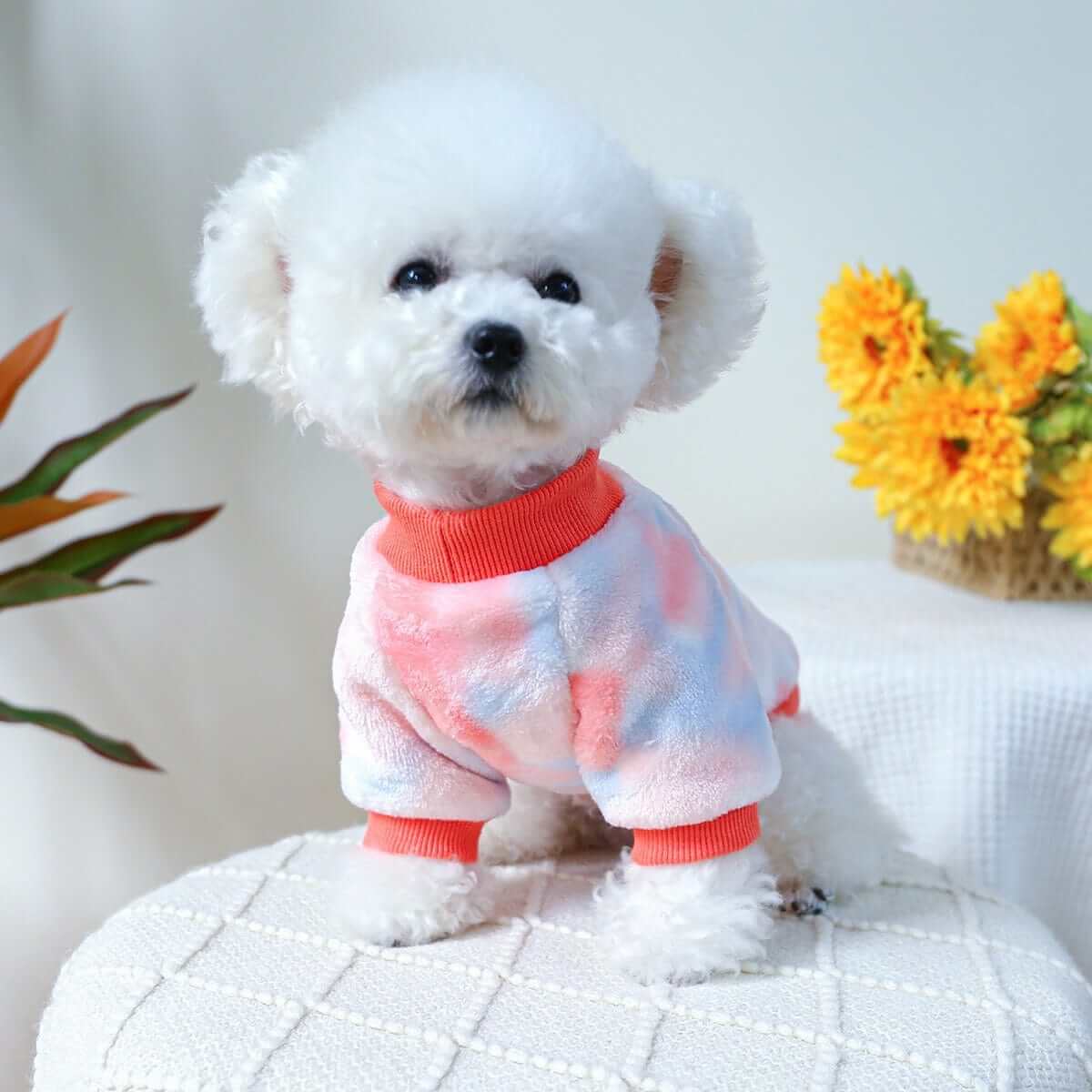 KUTKUT Small Dog Cat Flannel Plush Sweater, Winter Fleece Thickned Warm Breathable Pullover with Drawstring Buckle for Yorkshire, Maltese and Small Dogs Cats - kutkutstyle