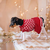 KUTKUT Small Dog Cat Warm Cute Heart Girl Dog Sweater Dress | Pet Beautiful Princess Style Tutu Dress | Female Girl Dog Puppy Cat Soft Knitwear Pullover - kutkutstyle