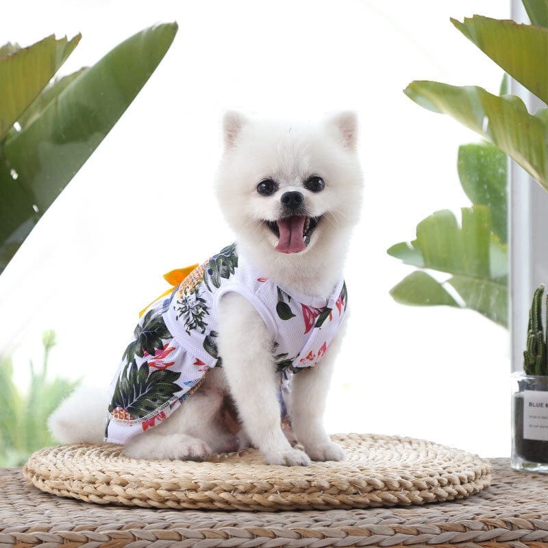 KUTKUT Small Dog Dress Hawaiian Shirts Skirt, Pet Frocks Princess Dresses Outfits, Puppy Sleeveless Breathable Cool Vest Summer Apparel for Small Dogs Cats Maltese, Yoriki (Multi)-Clothing-kutkutstyle