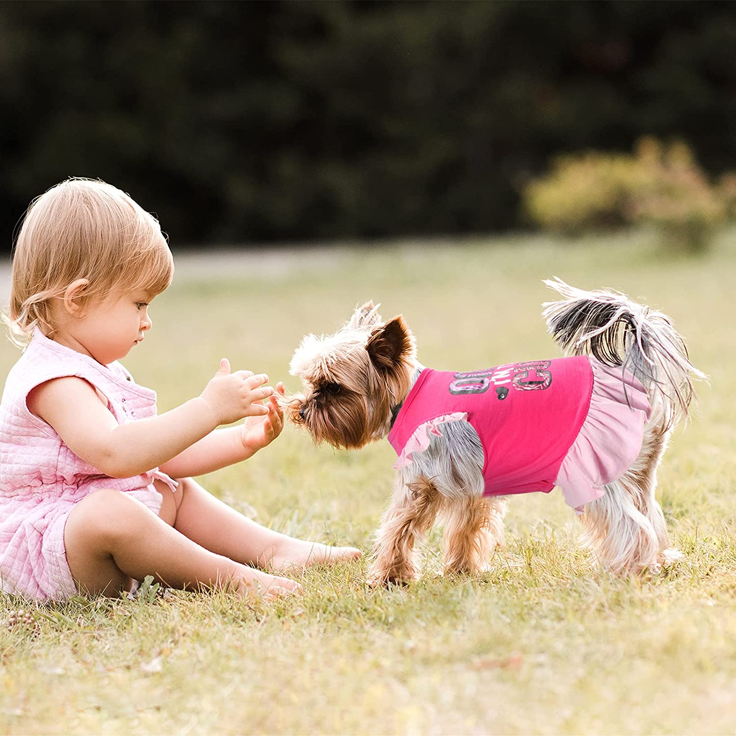 KUTKUT Small Dog Dress Pet Tutu Dress Puppy Dress Cute Dog Princess Skirt Elegant Pet Summer Apparel Doggie Clothes for Small Dogs Cats Pets (OMG Pink) - kutkutstyle