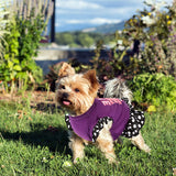 KUTKUT Small Dog Dress Pet Tutu Dress Puppy Dress Cute Dog Princess Skirt Elegant Pet Summer Apparel Doggie Clothes for Small Dogs Cats Pets (Purple) - kutkutstyle