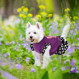 KUTKUT Small Dog Dress Pet Tutu Dress Puppy Dress Cute Dog Princess Skirt Elegant Pet Summer Apparel Doggie Clothes for Small Dogs Cats Pets (Purple) - kutkutstyle