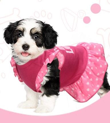 KUTKUT Small Dog Dress Pet Tutu Dress Puppy Dress Cute Dog Princess Skirt Elegant Pet Summer Apparel Doggie Clothes for Small Dogs Cats Pets (Red) - kutkutstyle