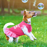 KUTKUT Small Dog Dress Pet Tutu Dress Puppy Dress Cute Dog Princess Skirt Elegant Pet Summer Apparel Doggie Clothes for Small Dogs Cats Pets (Red)-Clothing-kutkutstyle