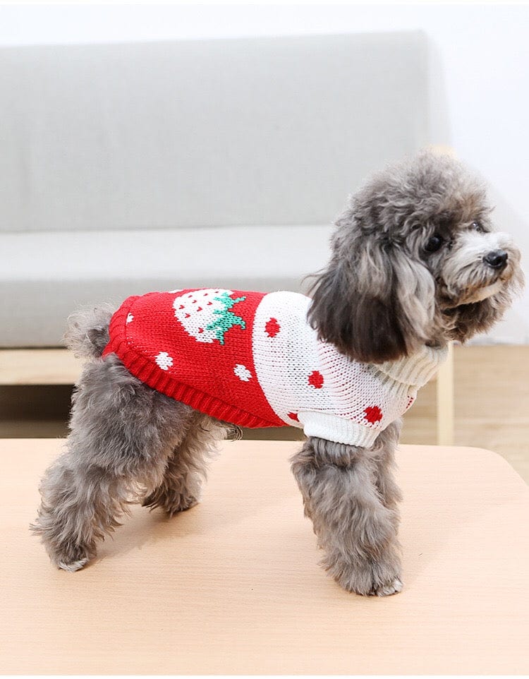 KUTKUT Small Dog Knitted Warm Winter Puppy Kitten Cat Sweater, Cute Strawberry Doggie Sweater for Small Dogs Girls Boys (Red) - kutkutstyle