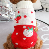 KUTKUT Small Dog Knitted Warm Winter Puppy Kitten Cat Sweater, Cute Strawberry Doggie Sweater for Small Dogs Girls Boys (Red) - kutkutstyle