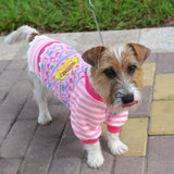 KUTKUT Small Dog Puppy Cute Cotton Fleece Warm Sweater Dress | Lace Dress Stripes Pattern Warm Pullover for Shihtzu, Maltese, Lhasa Apso etc - kutkutstyle