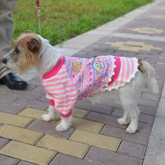 KUTKUT Small Dog Puppy Cute Cotton Fleece Warm Sweater Dress | Lace Dress Stripes Pattern Warm Pullover for Shihtzu, Maltese, Lhasa Apso etc - kutkutstyle