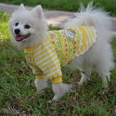 KUTKUT Small Dog Puppy Cute Cotton Fleece Warm Sweater Dress | Lace Dress Stripes Pattern Warm Pullover for Shihtzu, Maltese, Lhasa Apso etc - kutkutstyle