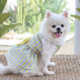 KUTKUT Stripe Dress for Small Dog Girl Puppy Clothes Female Princess Tutu Skirt Summer Shirt for Shih Tzu, Maltese Cat Pet Apparel Outfits - kutkutstyle