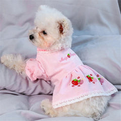 KUTKUT Summer Cute Skirt Strawberry Stripe Small Dog Dress | Dress for Shish Tzu, King Charles, Pug & Other Similar Kind Small Breed Dogs - kutkutstyle