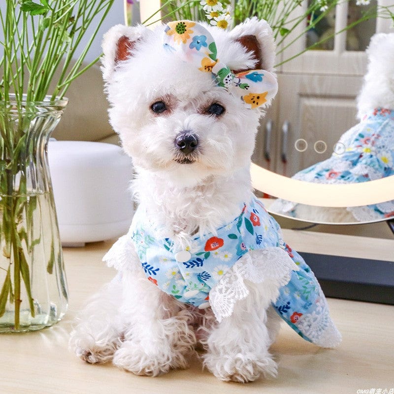 KUTKUT Sun Flowers Decor Eelgant Lace Princess Dress for Small Dogs | Sweetie Summer Skirt Dress for Shish Tzu, Pug, Poodle etc. - kutkutstyle