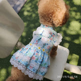 KUTKUT Sun Flowers Decor Eelgant Lace Princess Dress for Small Dogs | Sweetie Summer Skirt Dress for Shish Tzu, Pug, Poodle etc. - kutkutstyle