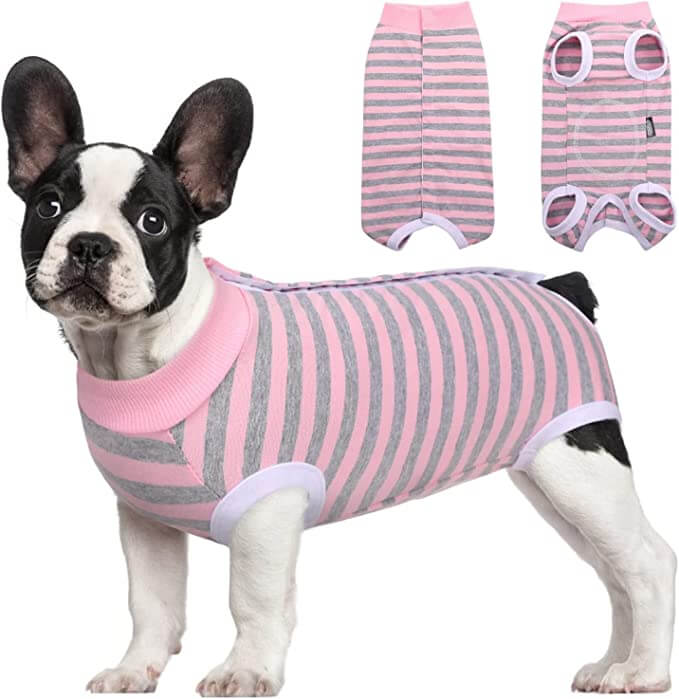 KUTKUT Kitten Puppy Recovery Suit, Surgery Recovery Suit for Female Dogs After Spay, Dog Cats Surgical Onesie with Pee Hole Collar Cone Alternative for Abdominal Wounds (Size: S, Chest: 35cm)-Clothing-kutkutstyle