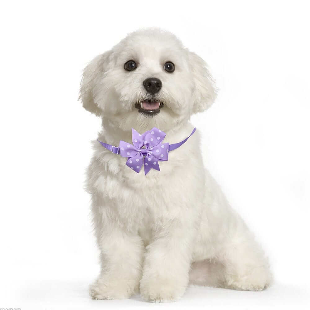 KUTKUT 10Pcs Puppy Collars Adjustable Floral Polka Collars for Small Dog Cat Bow Tie Puppy Neckties Collars Summer Grooming Bowtie Collar Pet Neck Bows Bulk Pet Bowties (ANY 10PCS)-Collar Harness-kutkutstyle
