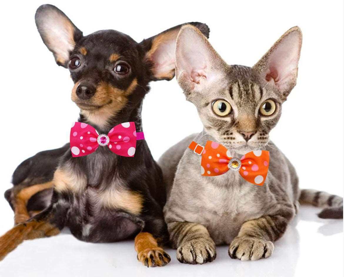 KUTKUT 15Pcs Puppy Collars Adjustable Collars for Small Dog Cat Kitten Bow Tie Puppy Neckties Collars Pet Neck Bows Bulk Pet Bowties Grooming Bowknot for Birthday Holiday-Collar Harness-kutkutstyle
