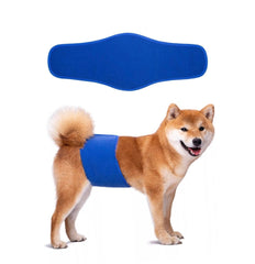 KUTKUT Dog Diapers Male, Washable & Reusable Belly Bands for Male Dogs Wraps, Highly Absorbent Upgrade Durable Belly Diapers for Dogs (Blue) - kutkutstyle