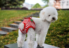 KUTKUT Dog Diapers, Adorable Reusable Washable Striped Print Dog Female Diapers | Doggie Underwear Cover Up Sanitary Panties for Small Female Girl Dogs in Heat Season (Red) - kutkutstyle