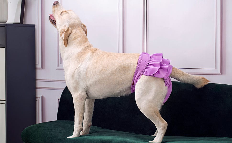 KUTKUT Dog Diapers Female, Washable Dog Diapers Highly Absorbent Reusable Doggie Diapers for Dog Period Panties Dresses for Dogs in Heat, Period or Excitable Urination ( Purple) - kutkutstyle