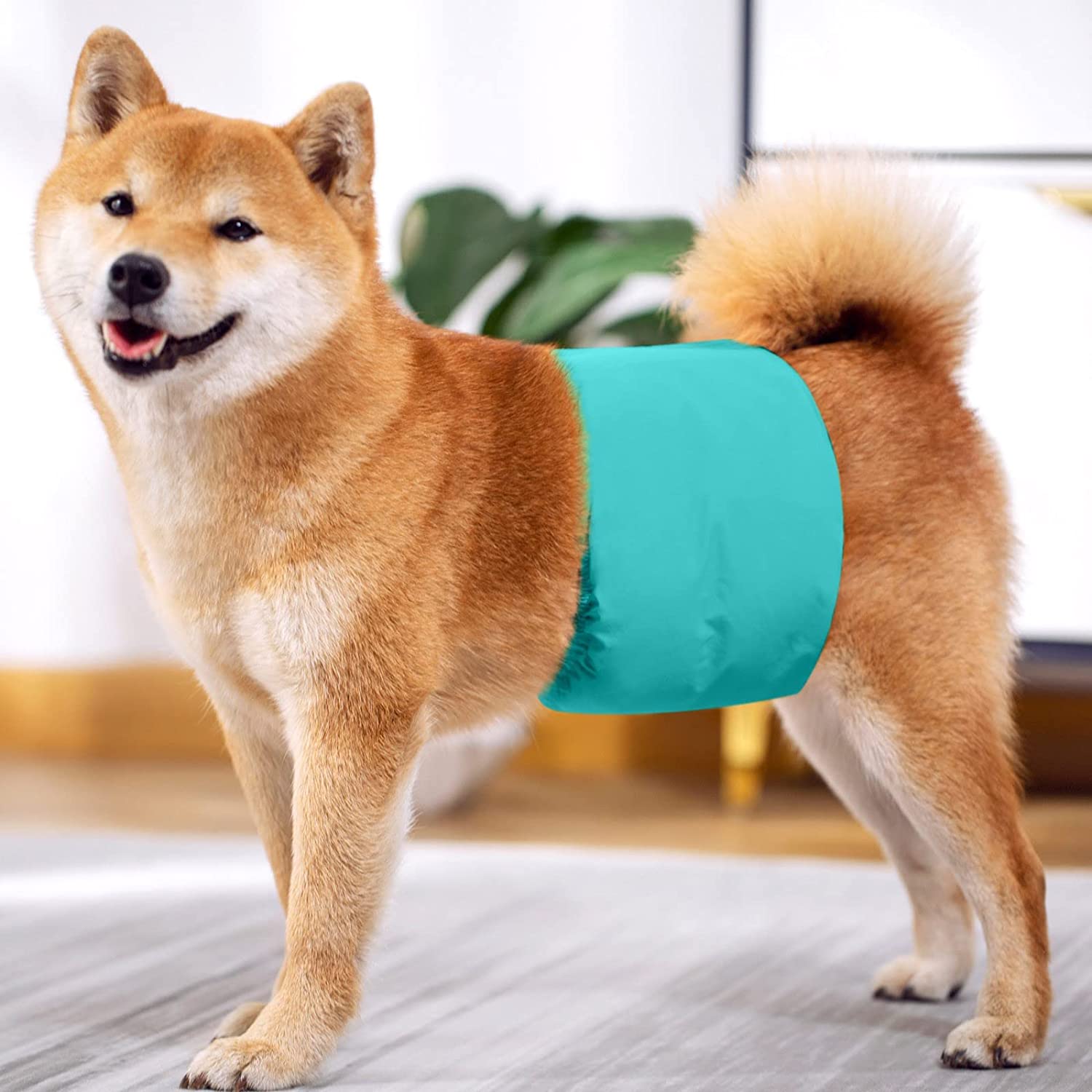 KUTKUT Dog Diapers Male, Reusable Belly Bands for Male Dogs Wraps Highly Absorbent Diapers for Dog, Waterproof Super Absorbent Puppy Wraps Cover Sanitary Nappies Pants (Green) - kutkutstyle