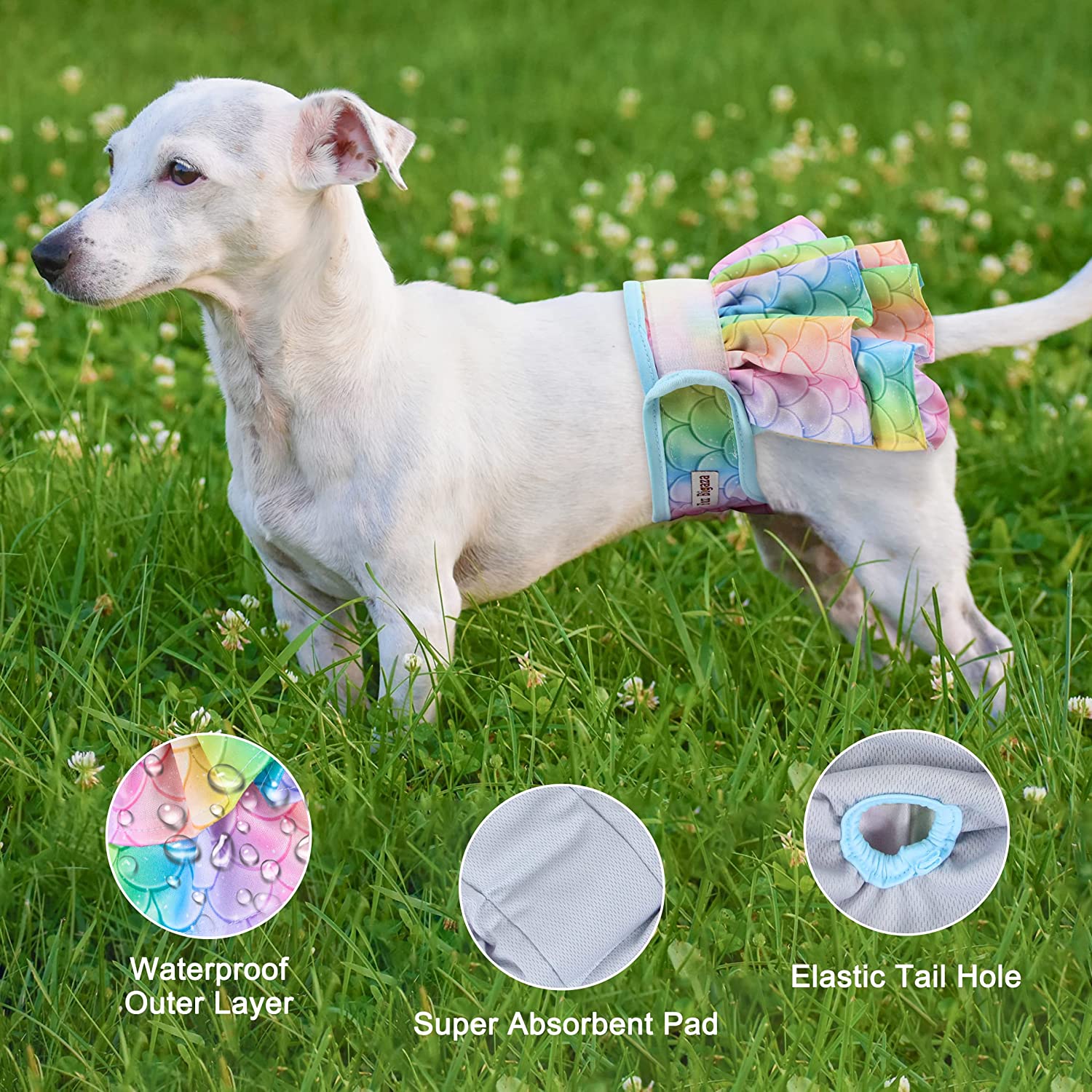 Washable Dog Dog Period Diapers The Best Dog Diapers And Belly