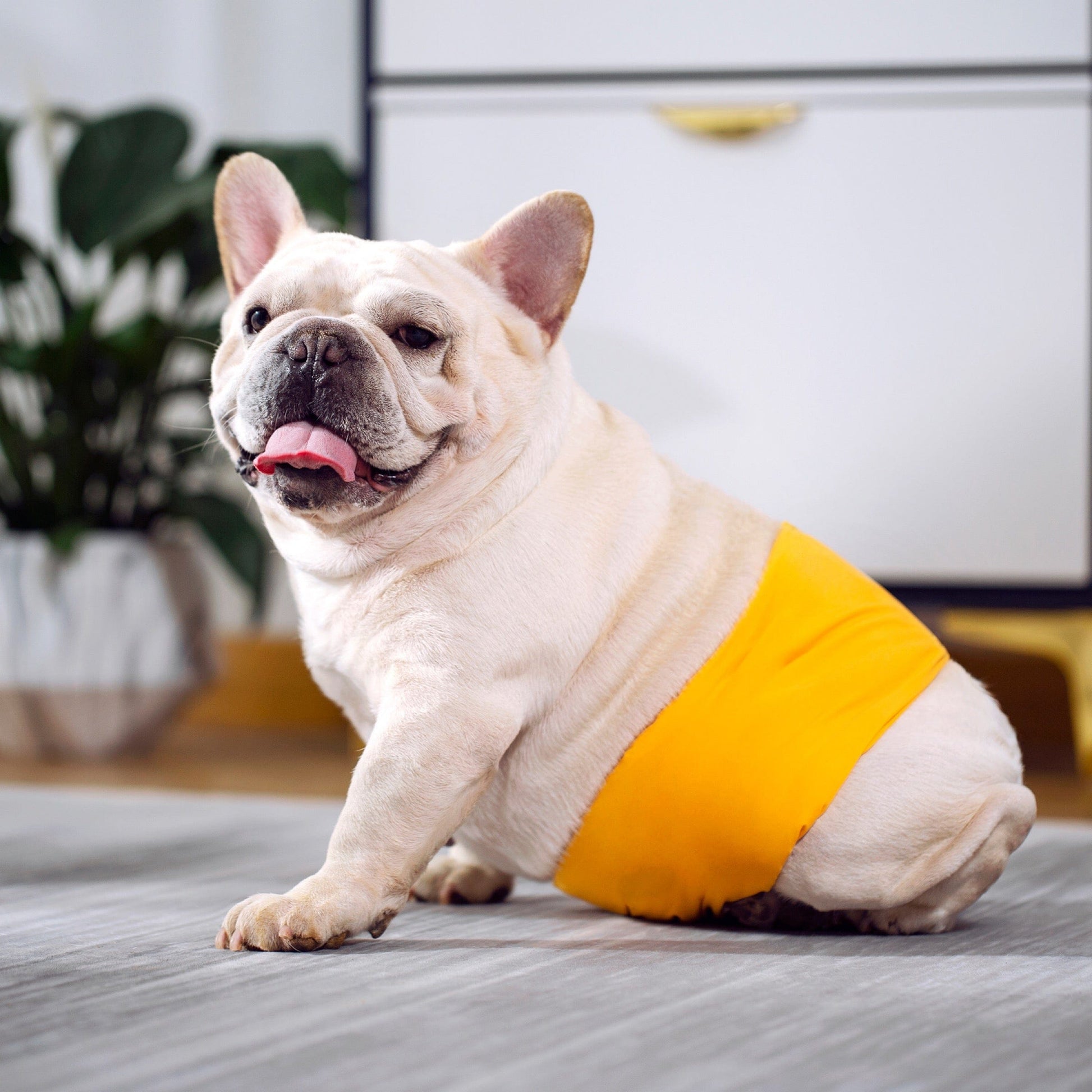 KUTKUT Male Dog Diapers, Reusable Belly Bands for Male Dogs Wraps Highly Absorbent Diapers for Dog, Waterproof Super Absorbent Puppy Wraps Cover Sanitary Nappies Pants (Yellow)-Diapers-kutkutstyle