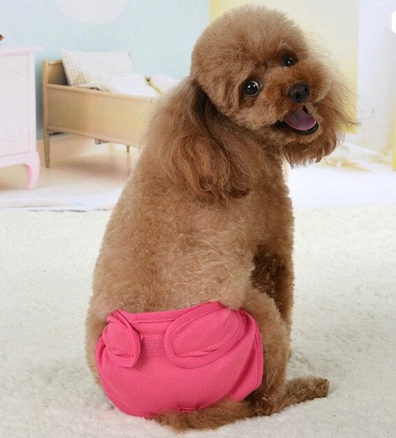 KUTKUT Washable Female Dog Diaper, Reusable Pant for Doggis, Super-Absorbent and Comfortable Menstruation Pant for Girl Dog in Period Heat (Pink)