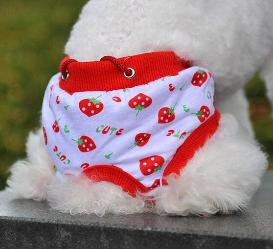 KUTKUT Dog Diapers, Adorable Reusable Washable Fruit Print Dog Female Diapers | Dog Underwear Cover Up Sanitary Panties for Small Medium Female Girl Dogs in Heat Season (Size: XL, Waistline: 