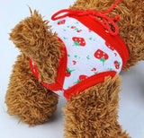 KUTKUT Dog Diapers, Adorable Reusable Washable Fruit Print Dog Female Diapers | Dog Underwear Cover Up Sanitary Panties for Small Medium Female Girl Dogs in Heat Season (Size: XL, Waistline: 