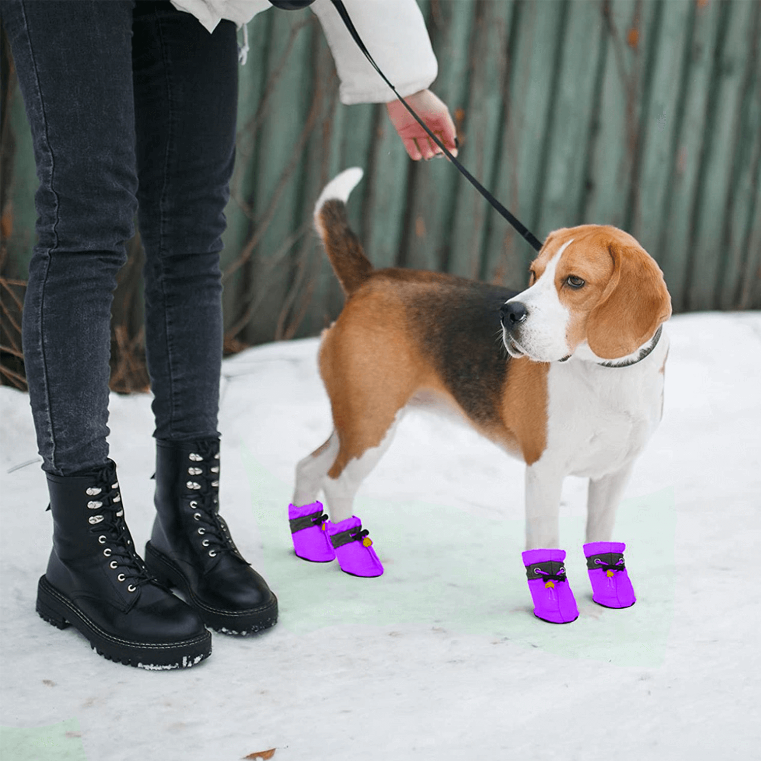 Shop KUTKUT Dog Boots - 4 Anti-Slip Paw Protectors for Small Dogs