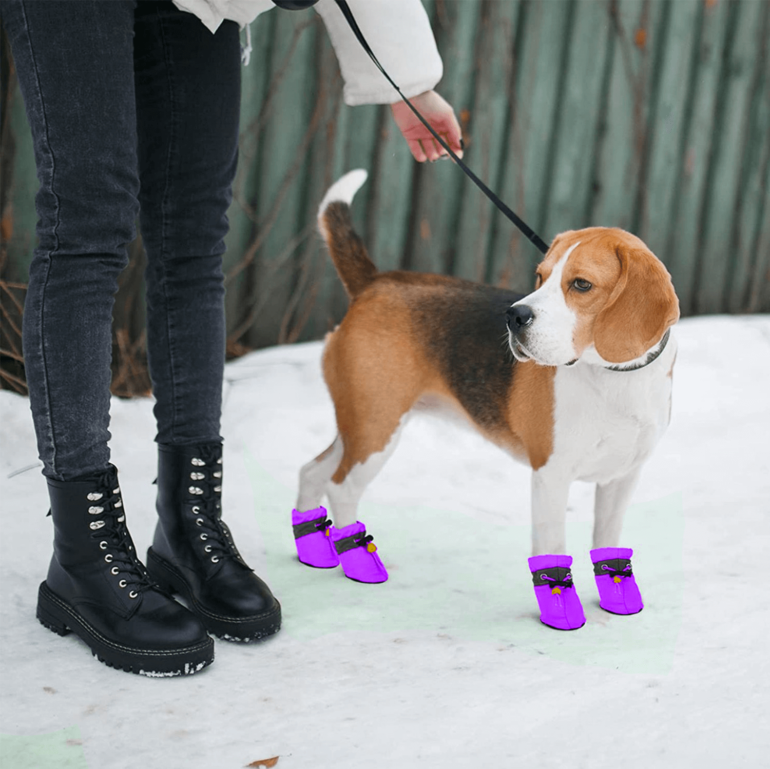 Soft hot sale dog booties