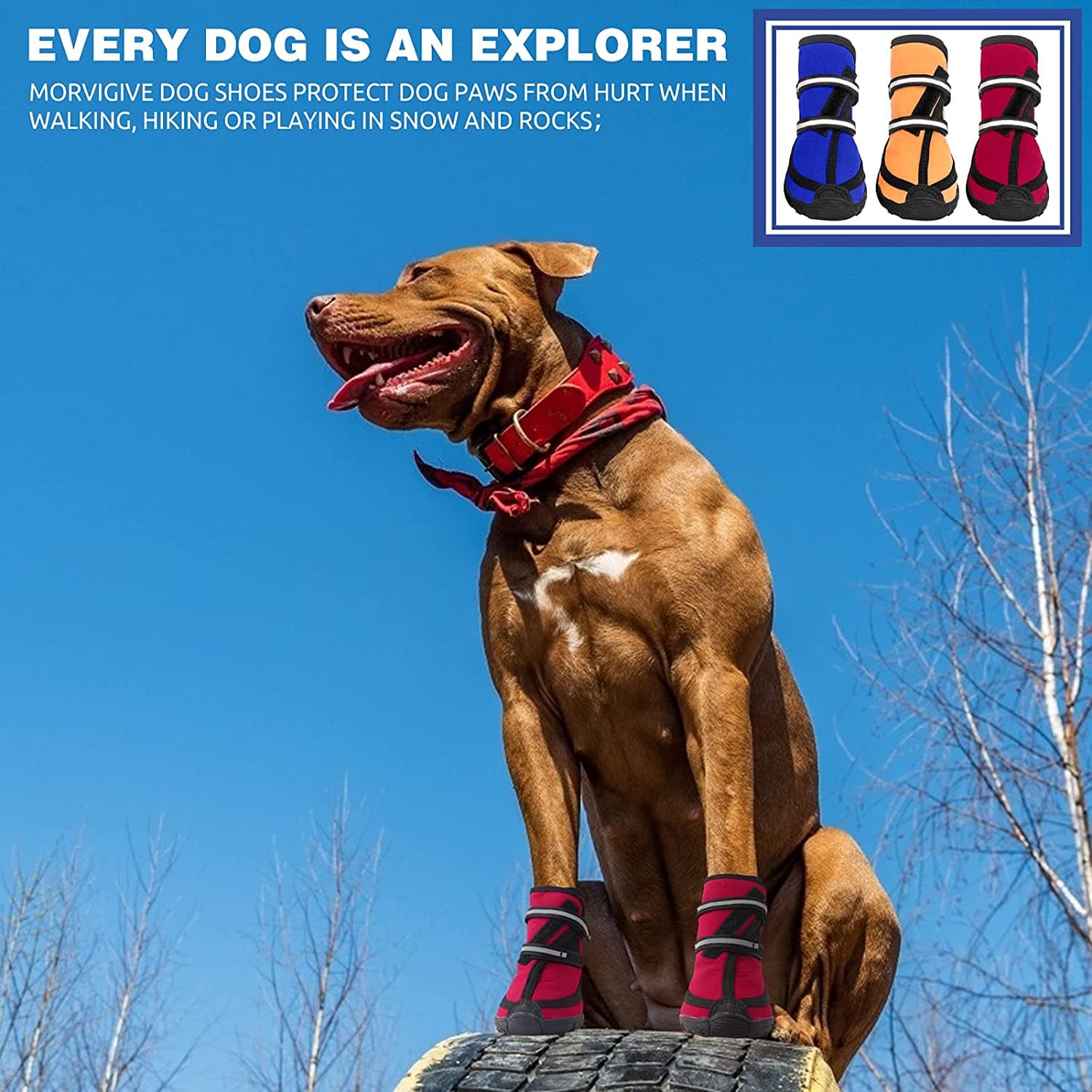 KUTKUT Dog Boots for Medium Large Dogs, Waterproof Dog Shoes with Nonslip Rubber Soles Reflective Straps, Pet Booties High-Ankle Paw Protectors for