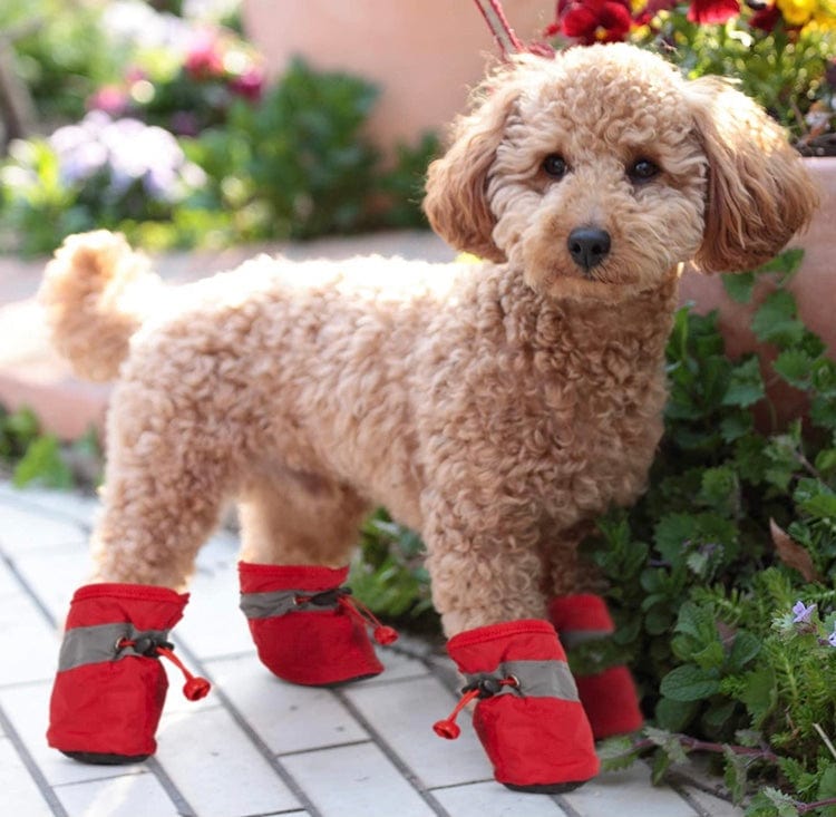 KUTKUT Dog Boots Paw Protector | Pack of 4pcs Anti-Slip Dog Shoes with Reflective Straps for Small Breed Dogs (Red) - kutkutstyle