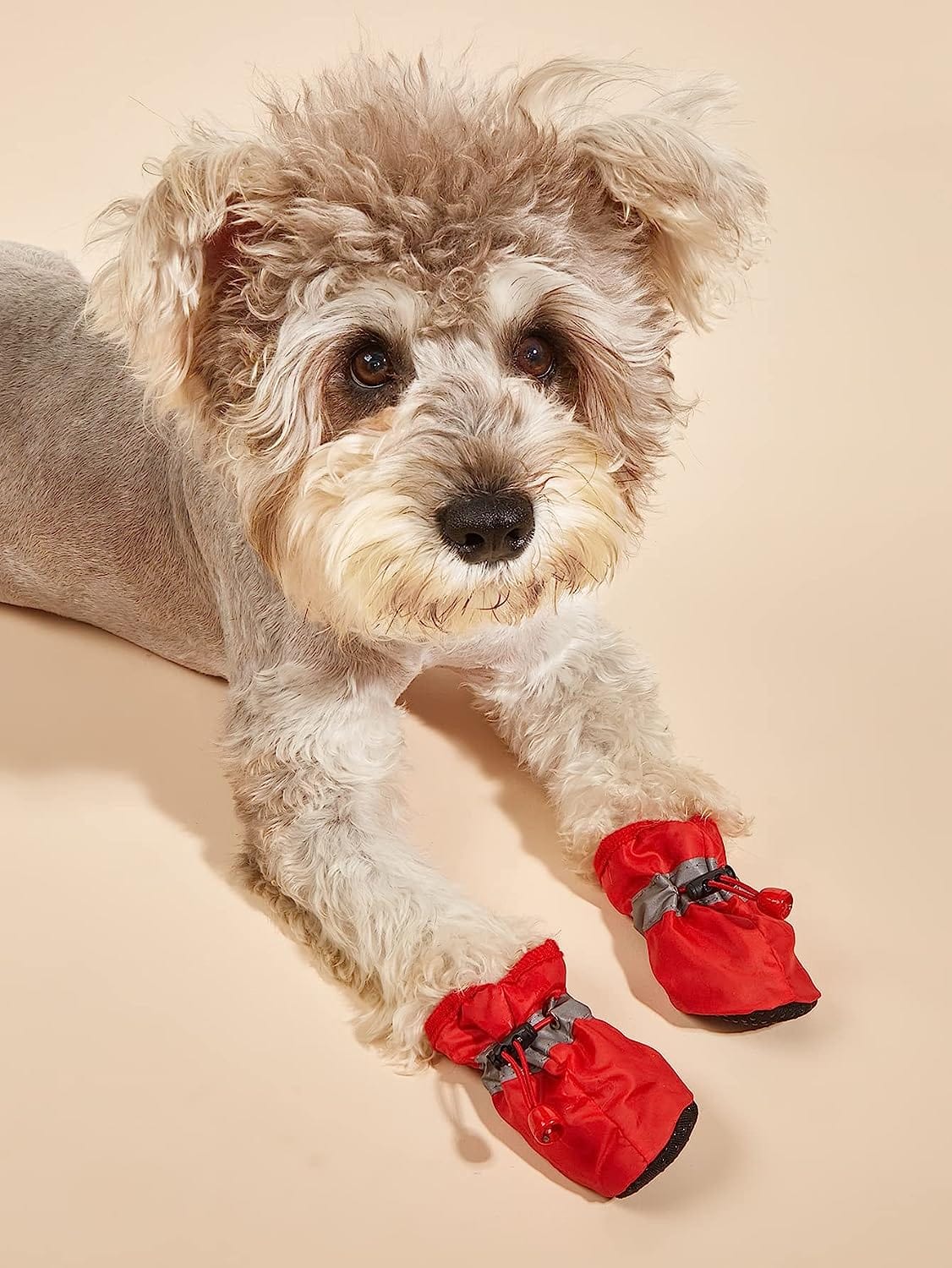 kutkutstyle-dog-shoes-kutkut- - Main Image